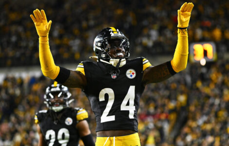 Steelers Porter Football